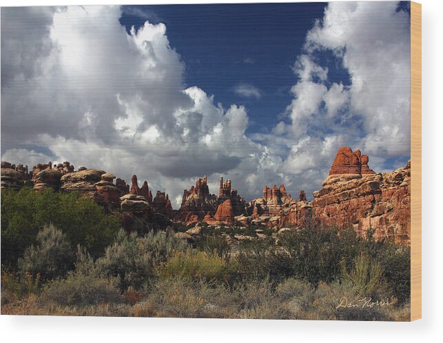 Canyonlands National Park Wood Print featuring the photograph Devil's Kitchen by Dan Norris