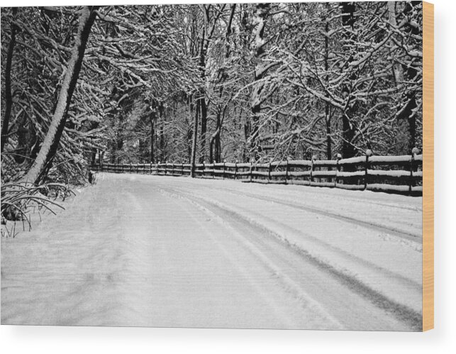 Country Road Wood Print featuring the photograph Dicksons Mill Road by Joseph Noonan