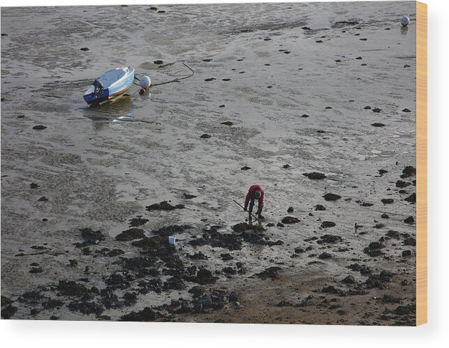 Digging Wood Print featuring the photograph Digging Mussels by Hugh Smith