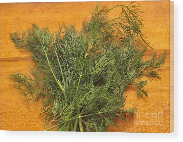 Kitchen Wood Print featuring the photograph Dill by Louise Heusinkveld