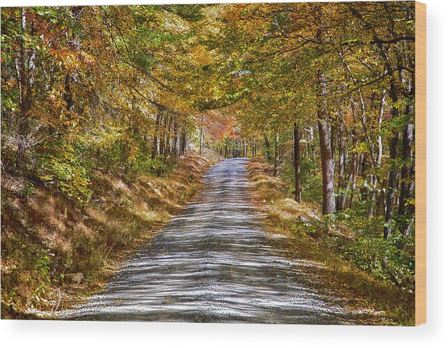 Road Wood Print featuring the photograph Dirt Road by Hugh Smith