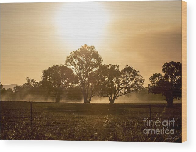 Sunset Wood Print featuring the photograph Dirtbike Dust by Linda Lees