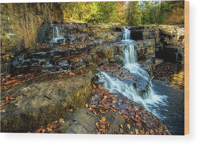 Landscape Wood Print featuring the photograph Dismal Creek Falls Horizontal by Joe Shrader