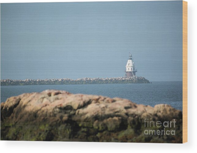 Coastal Wood Print featuring the photograph Distant Lighthouse by Karol Livote
