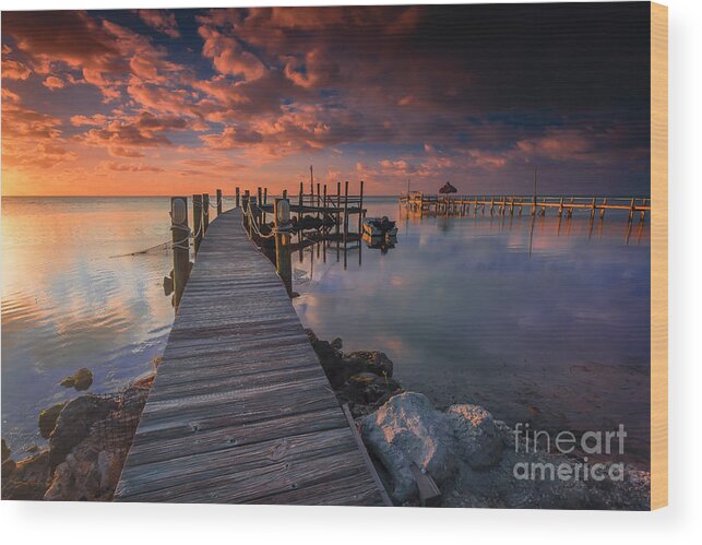 Docks Wood Print featuring the photograph Docks ahoy by Marco Crupi