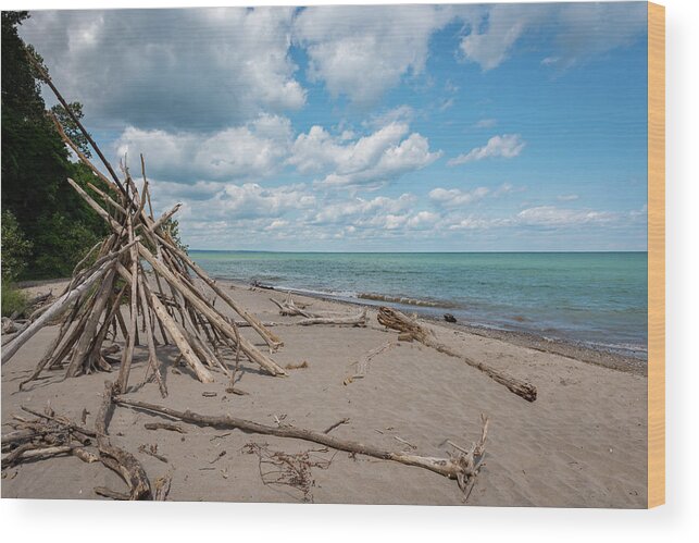 Beach Wood Print featuring the photograph Doctors Park Beach II by James Meyer