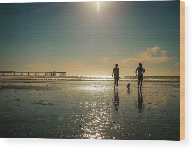 Dog Beach Wood Print featuring the photograph Dog Beach by Jeffrey Ommen