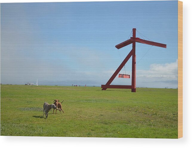 Crissy Field Wood Print featuring the photograph Dogs at Crissy Field by Erik Burg