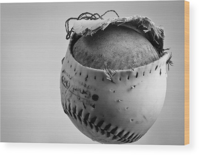 Dog's Ball Wood Print featuring the photograph Dog's Ball by Bob Orsillo