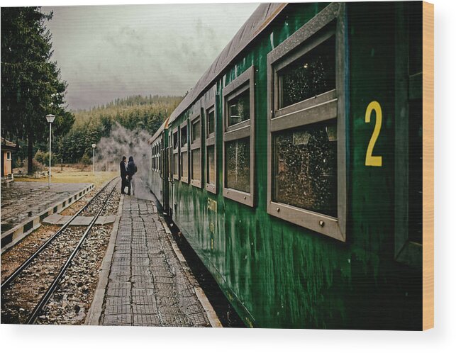 Train Wood Print featuring the photograph Dolene Railway Station Bulgaria by Adam Rainoff