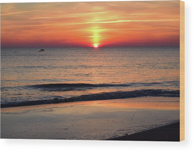 Dolphin Wood Print featuring the photograph Dolphin Jumping in the Sunrise by Nicole Lloyd