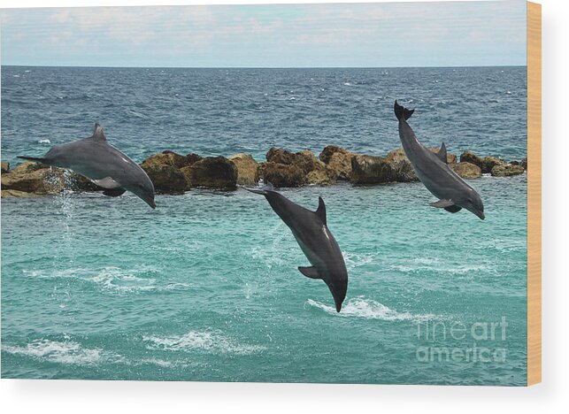 Dolphins Wood Print featuring the photograph Dolphins Showtime by Adriana Zoon
