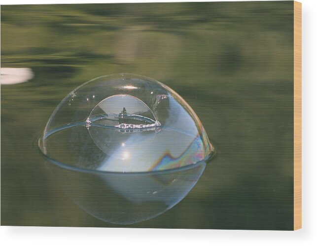 Bubble Wood Print featuring the photograph Double Bubble Portrait by Cathie Douglas
