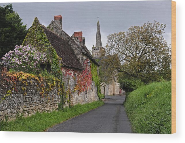 French Wood Print featuring the photograph Down a French Country Lane in Spring by Dave Mills