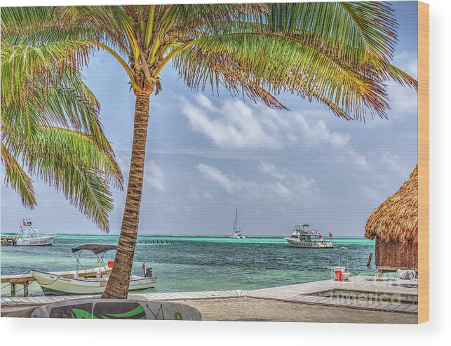 San Pedro Belize Wood Print featuring the photograph Down by the Seaside by David Zanzinger