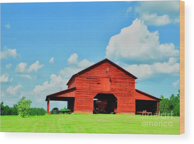 Farm Wood Print featuring the photograph Down On The Farm by Kathy Baccari