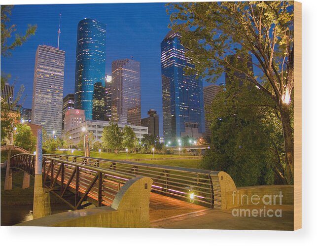 Walk Wood Print featuring the photograph Dowtown Houston by night by Olivier Steiner