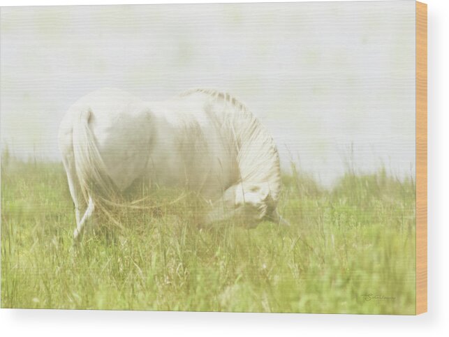 Dream Horse Wood Print featuring the photograph Dream Horse by Susan Vineyard