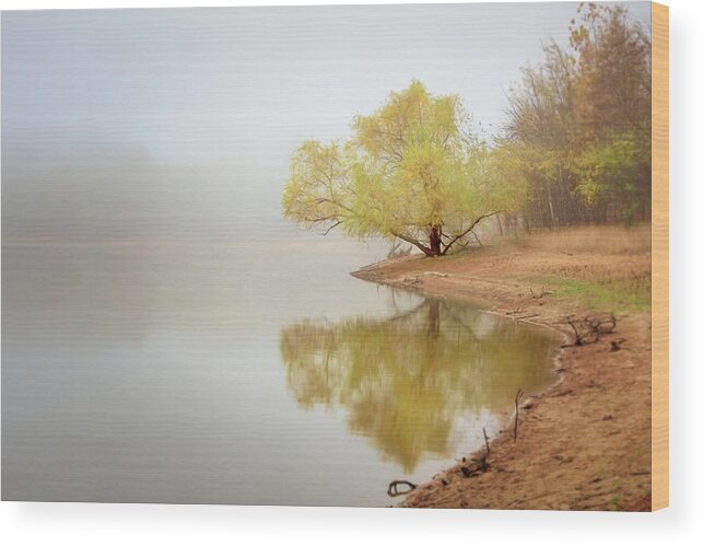 Background Wood Print featuring the photograph Dream Tree by Robert FERD Frank