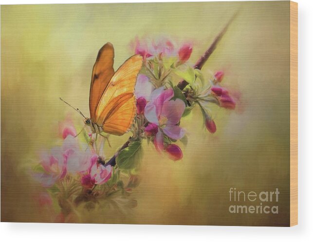 Dryas Julia Wood Print featuring the photograph Dreaming of Spring by Eva Lechner