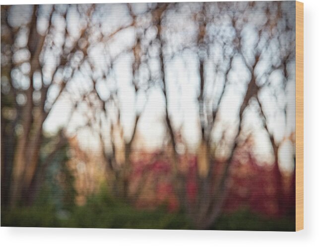 Blurred Wood Print featuring the photograph Dreamy Fall Colors by Susan Stone