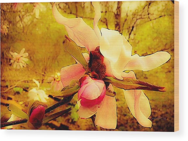 Magnolia Wood Print featuring the photograph Dreamy Magnolia by Diane Lindon Coy