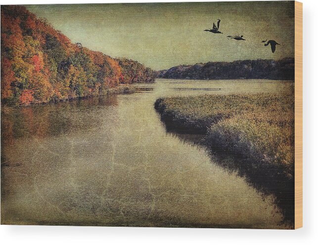 Topaz Wood Print featuring the photograph Dreary Autumn by Reynaldo Williams