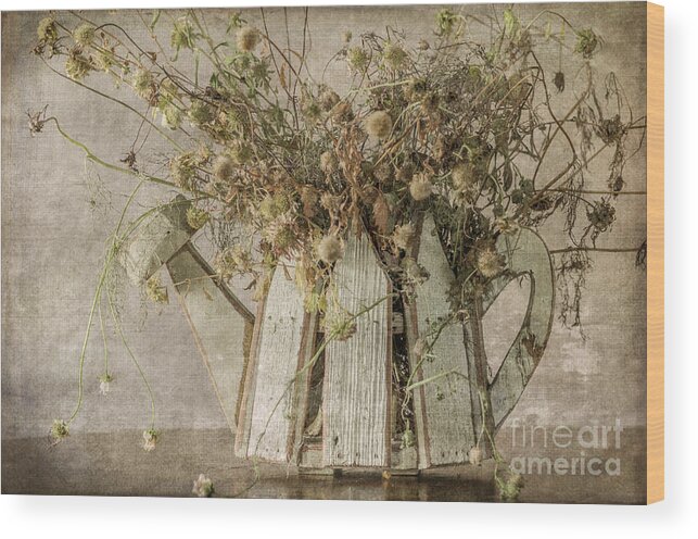 Dried Flowers Wood Print featuring the photograph Dried Flowers in Watering Can by Tamara Becker