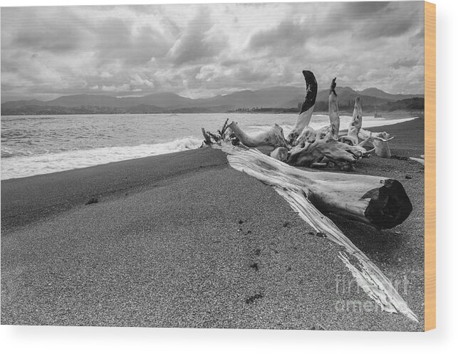 Landscape Wood Print featuring the photograph Drift Wood - Robin's Bay - Jamaica by Marc Evans