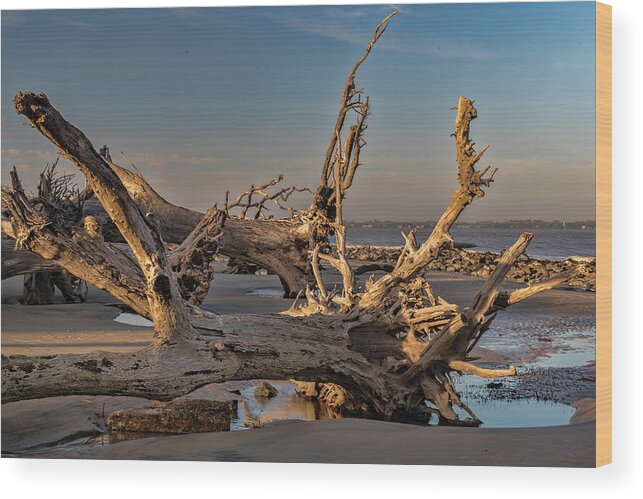 Trees Wood Print featuring the photograph Drifting wood by Roni Chastain