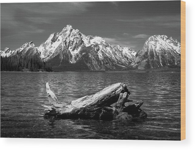 Black And White Wood Print featuring the photograph driftwood and Mt. Moran by Stephen Holst