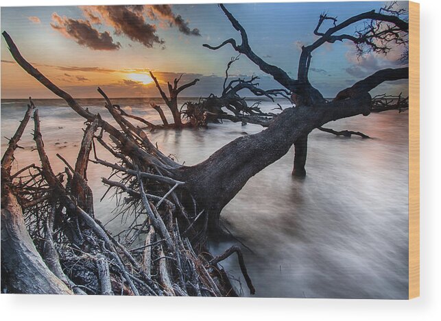 Landscape Wood Print featuring the photograph Driftwood Beach 6 by Dillon Kalkhurst