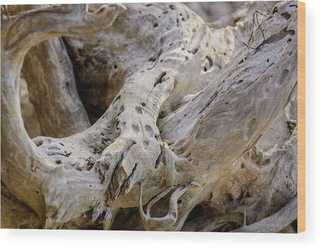 Driftwood Wood Print featuring the photograph Driftwood on the Beach by Robert Mitchell