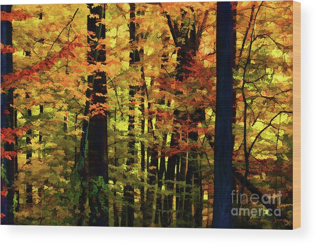 Nature Wood Print featuring the digital art Driveby Shooting No.14 Goldenwoods by Xine Segalas