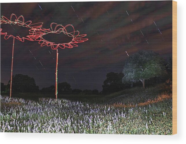 Dronepainting Wood Print featuring the photograph Drone Flowers by Andrew Nourse