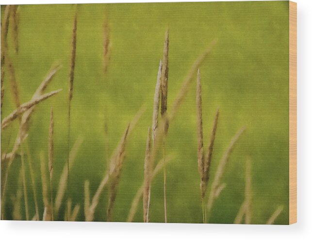 Wheat Wood Print featuring the photograph Drowning in the Wheat by Andrea Kollo