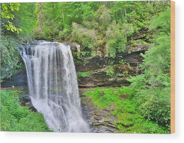 Dry Falls Highlands North Carolina Vertical Wood Print featuring the photograph Dry Falls Highlands North Carolina by Lisa Wooten