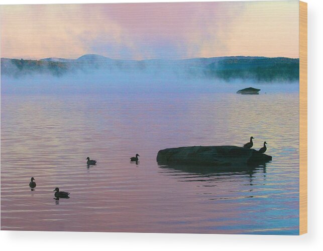  Wood Print featuring the photograph Ducks at Dawn by Polly Castor