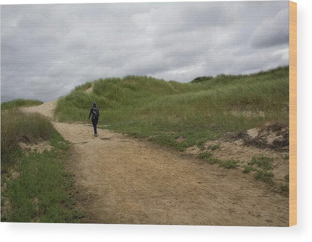Landscape Wood Print featuring the photograph Dune Path by Michael Friedman