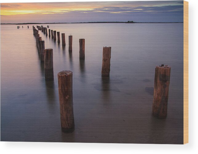 Dunedin Wood Print featuring the photograph Dunedin Sunset by Stefan Mazzola