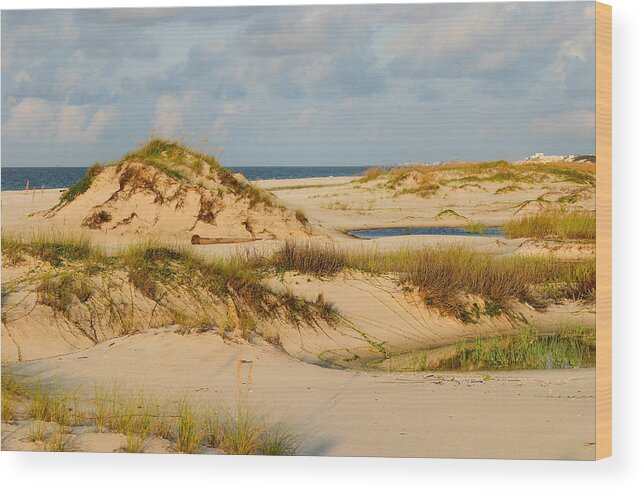 Beach Wood Print featuring the photograph Dunes at Gulf Shore by Kristin Elmquist