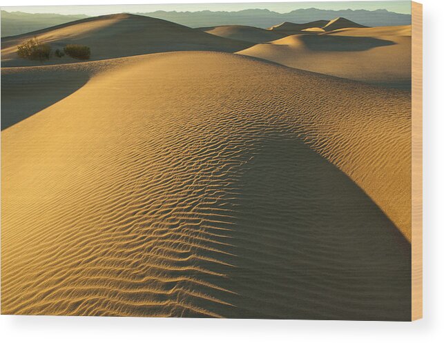 Death Valley Wood Print featuring the photograph Dunes of Gold by Johan Elzenga