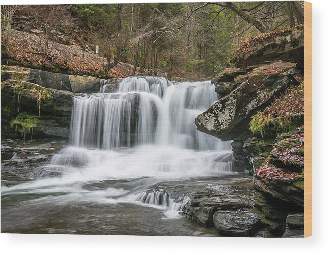 Dunloup Creek Falls Wood Print featuring the photograph Dunloup Creek Falls by Chris Berrier