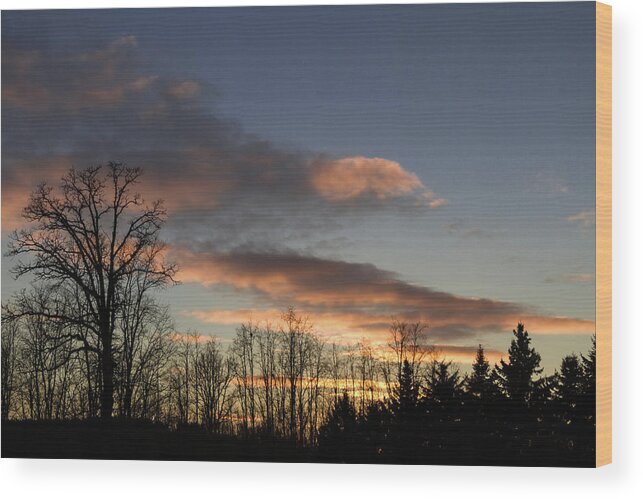2014 Wood Print featuring the photograph Dusk by Mark Salamon