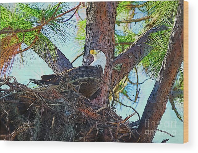 Eagle Wood Print featuring the painting Eagle Nest Painterly by Deborah Benoit