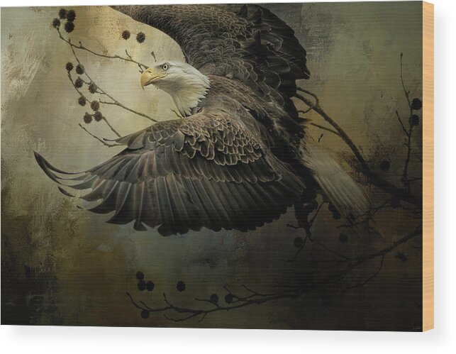 Jai Johnson Wood Print featuring the photograph Eagle Rising Wildlife Art by Jai Johnson
