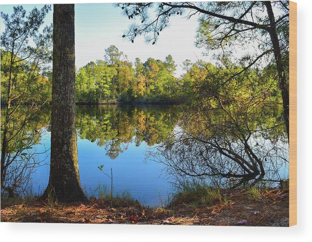 Fall Wood Print featuring the photograph Early Fall Reflections by Nicole Lloyd