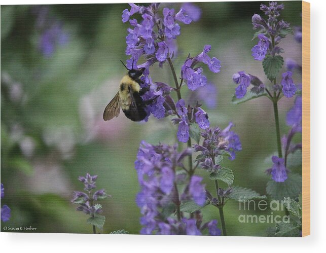 Flower Wood Print featuring the photograph Early Harvest by Susan Herber