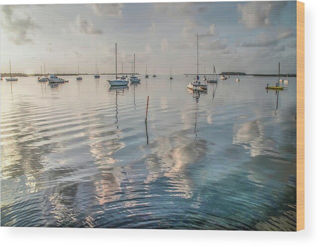 Florida Wood Print featuring the photograph Early Morning Calm by Geraldine Alexander