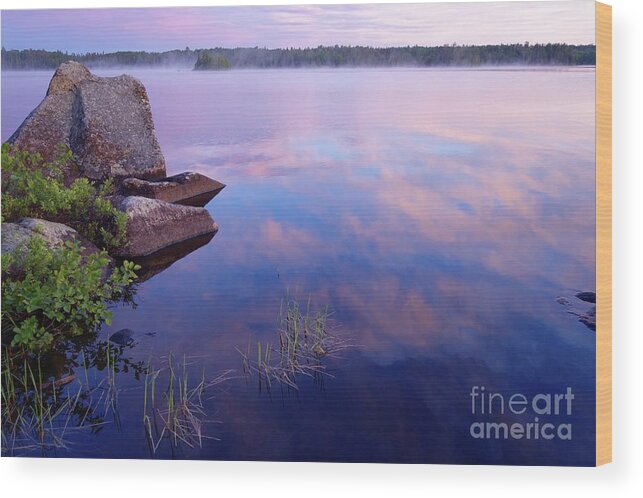 Lake Jeanette Wood Print featuring the photograph Early Morning Color by Sandra Updyke